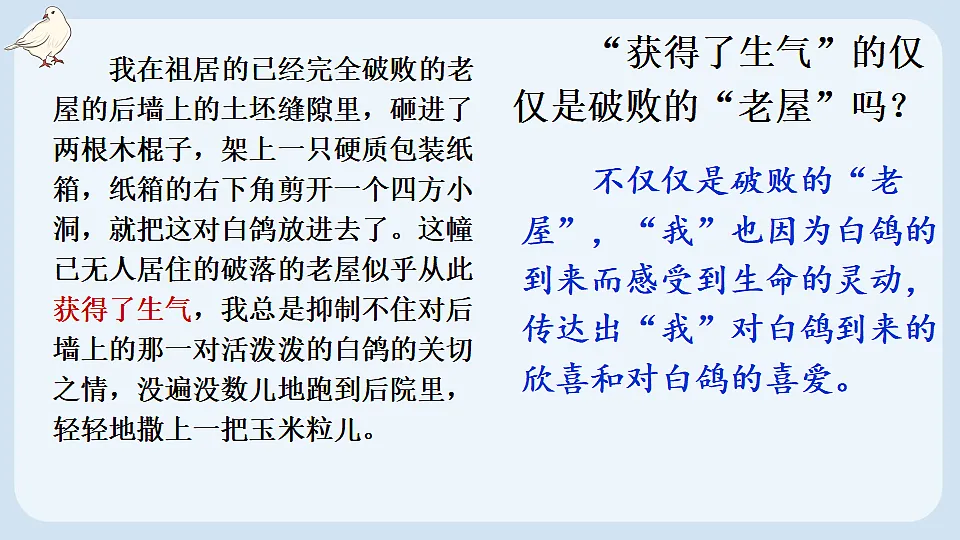 17898977第8页