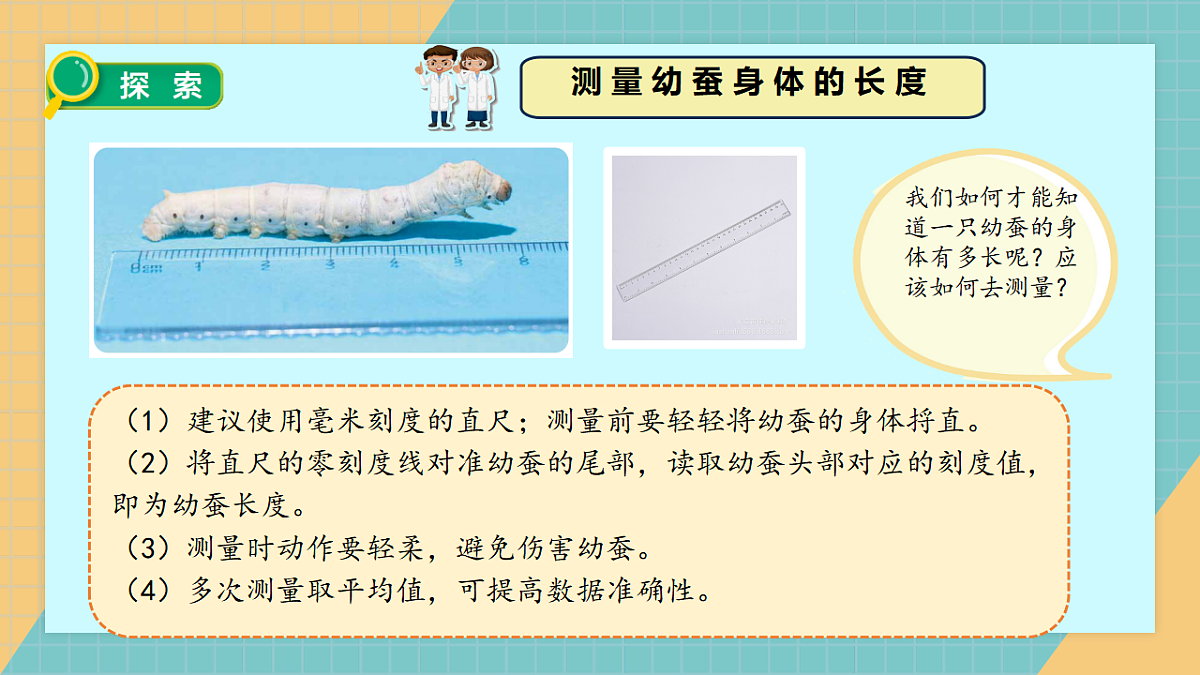 2.4幼蚕在生长第8页