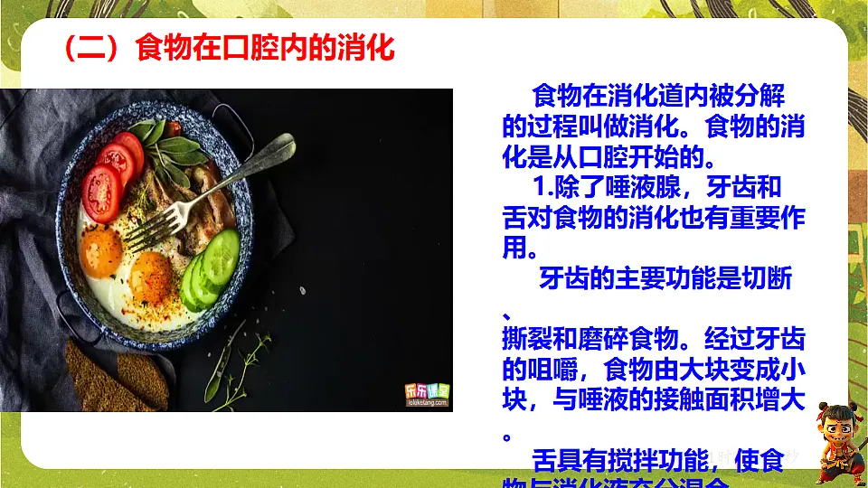 17900397第7页