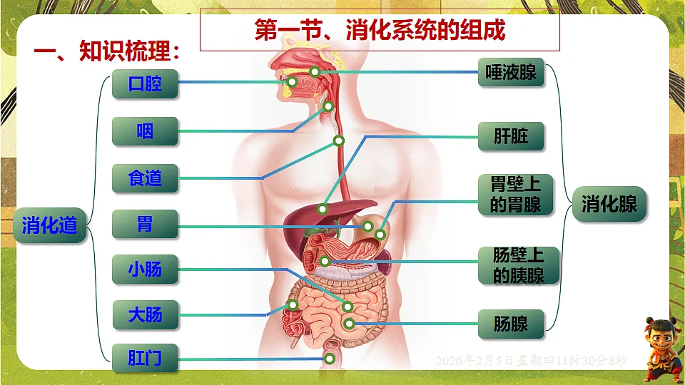 17900399第3页
