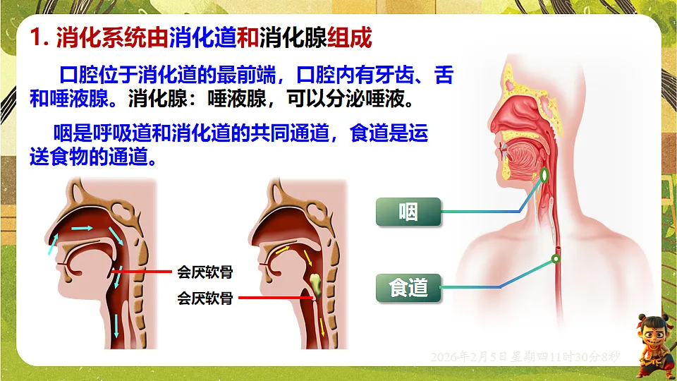 17900399第4页