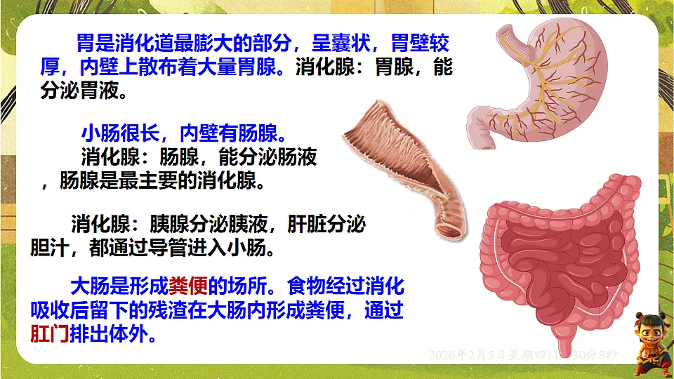17900399第5页