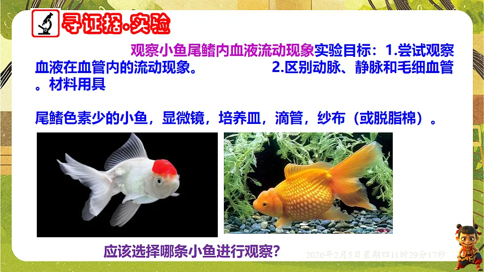 17900403第3页