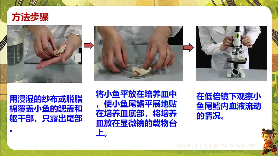 17900403第4页