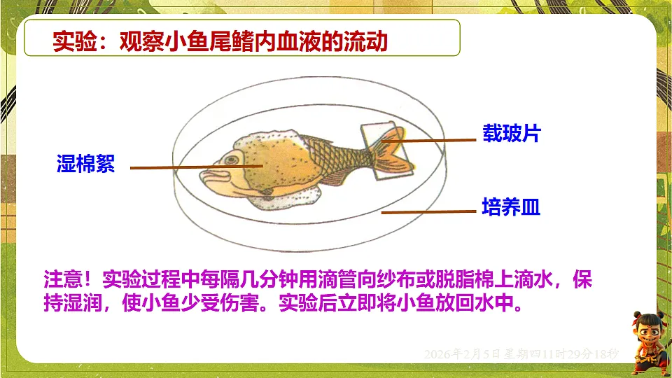 17900403第5页