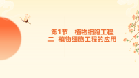 高中生物人教版 (2019)选择性必修3植物细胞工程的应用示范课课件ppt