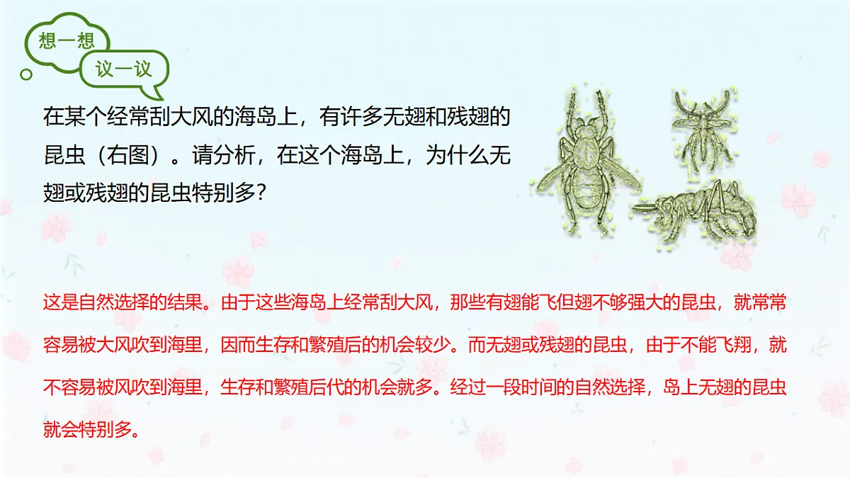 【核心生物】人教版初中生物八年级下册6.3.3《生物进化的原因》课件第4页