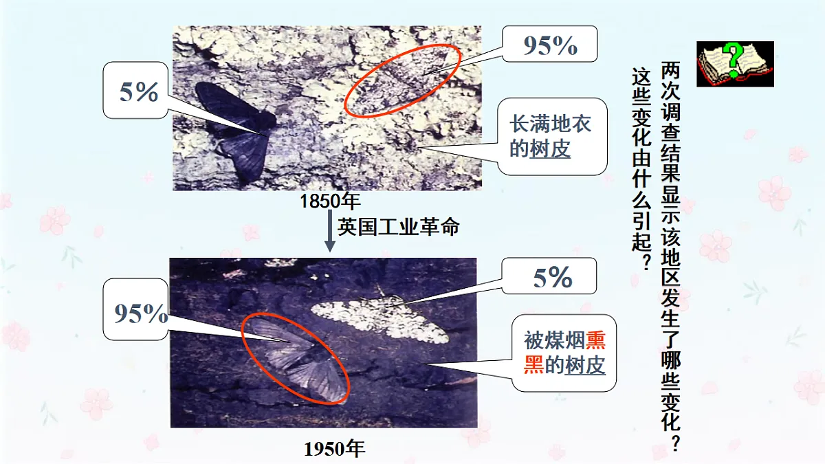 【核心生物】人教版初中生物八年级下册6.3.3《生物进化的原因》课件第7页