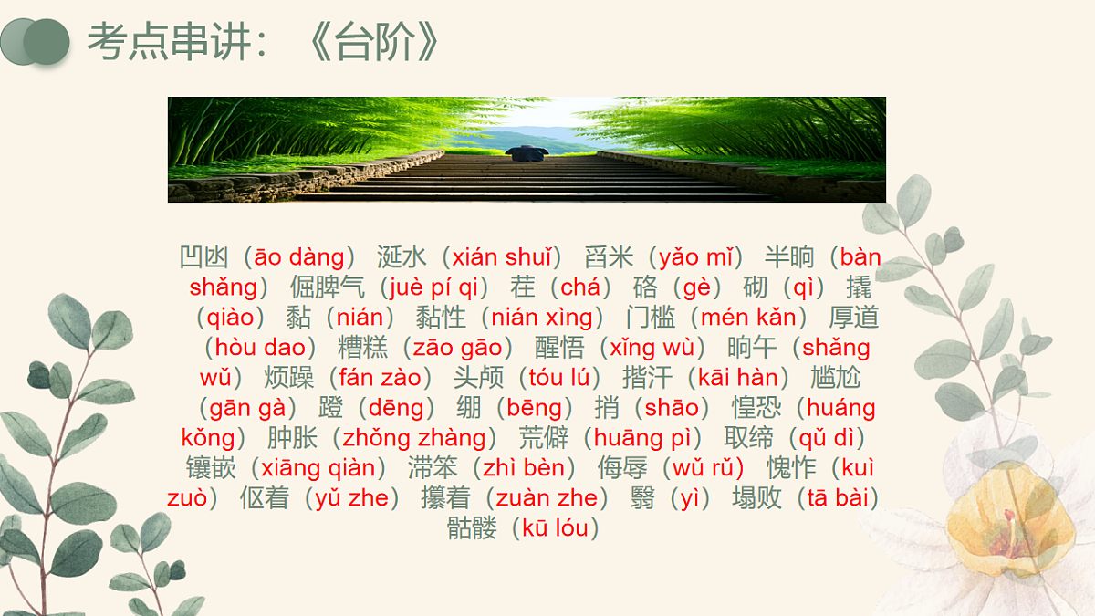 17904836第7页