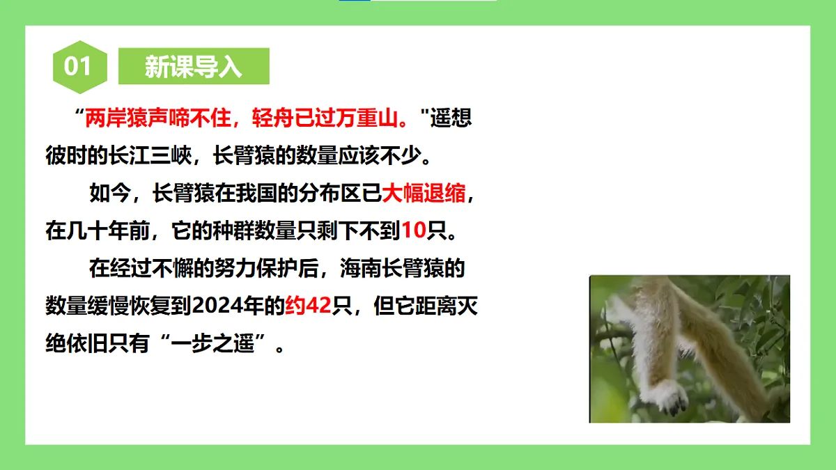 人教版初中生物八年级下册6.4.2《人与自然和谐共生》课件第2页