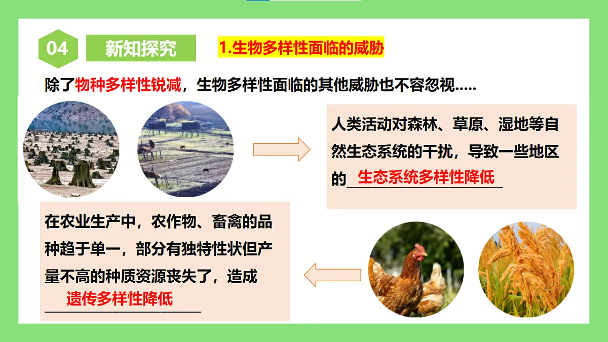 人教版初中生物八年级下册6.4.2《人与自然和谐共生》课件第8页