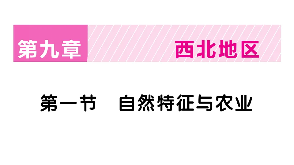 17907669第1页