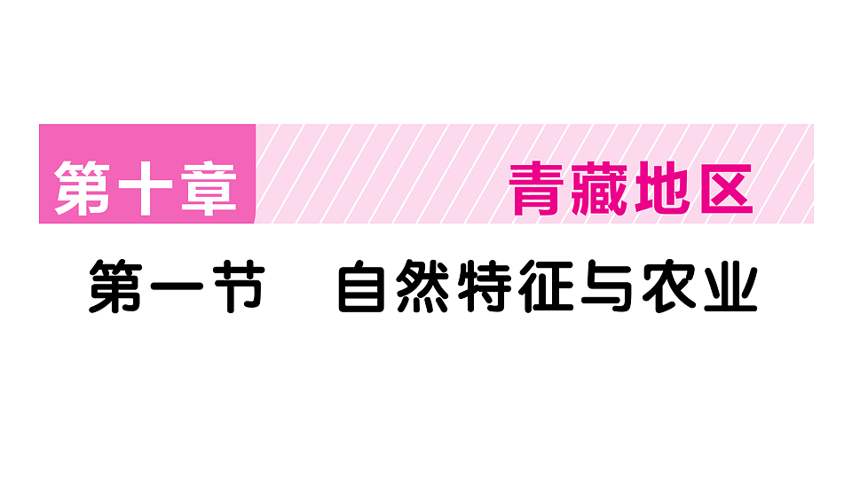 17907675第1页