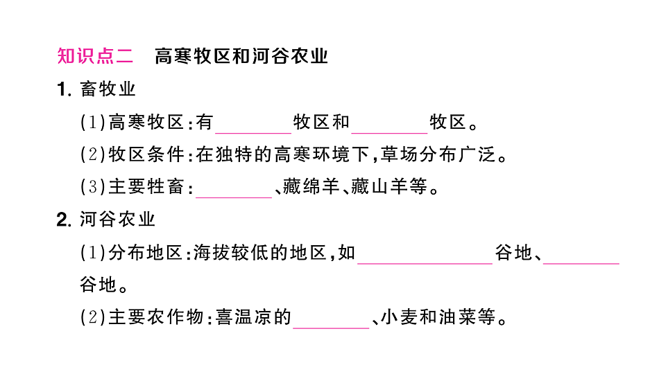17907675第5页
