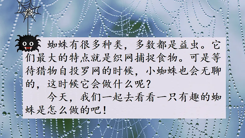 19 蜘蛛开店【优质版】第4页