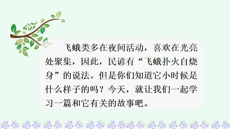 21 小毛虫【优质版】第3页