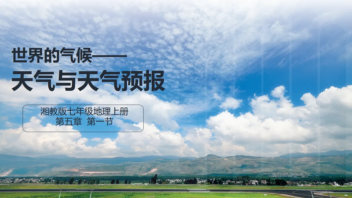 17907857第3页
