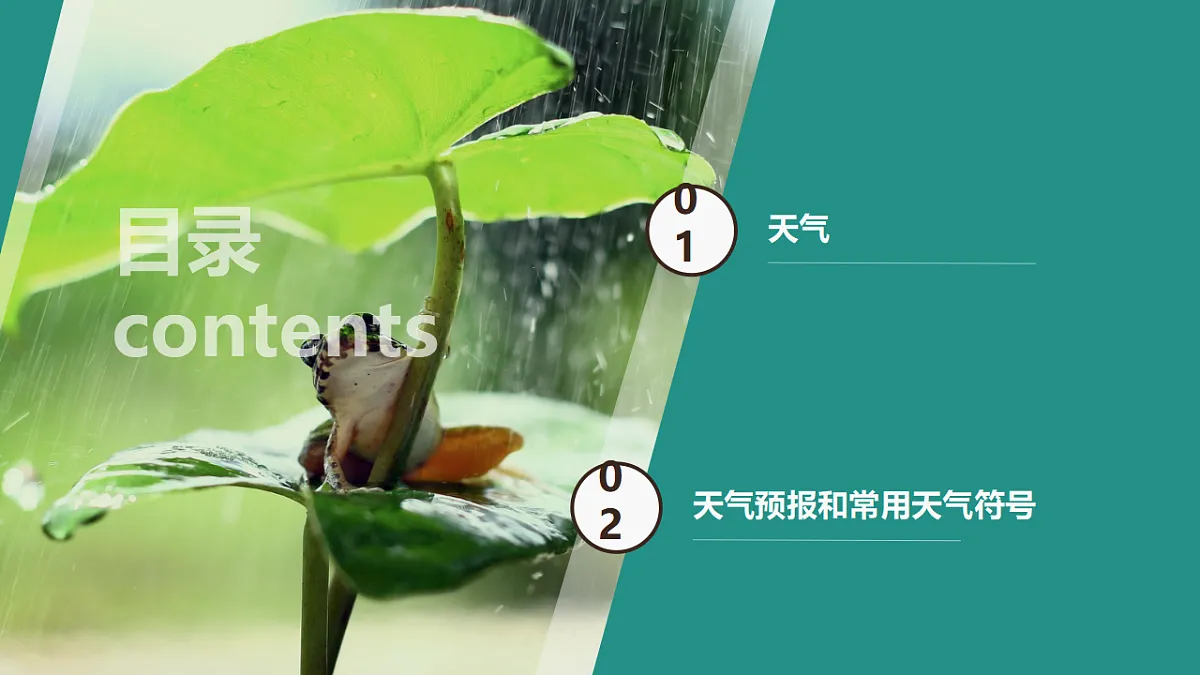17907857第5页