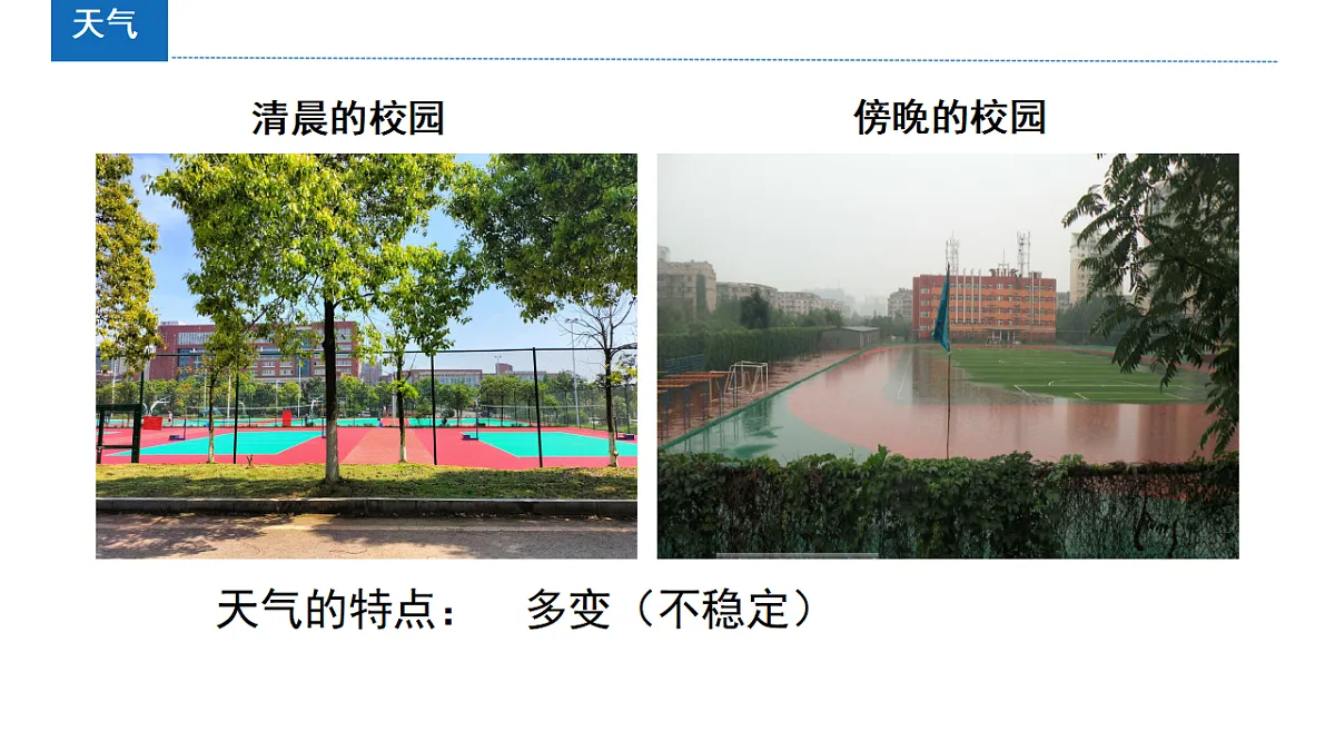 17907994第5页