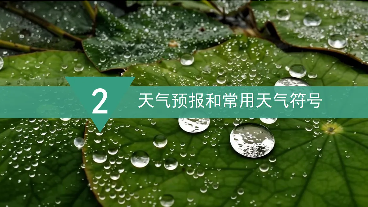 17907994第7页