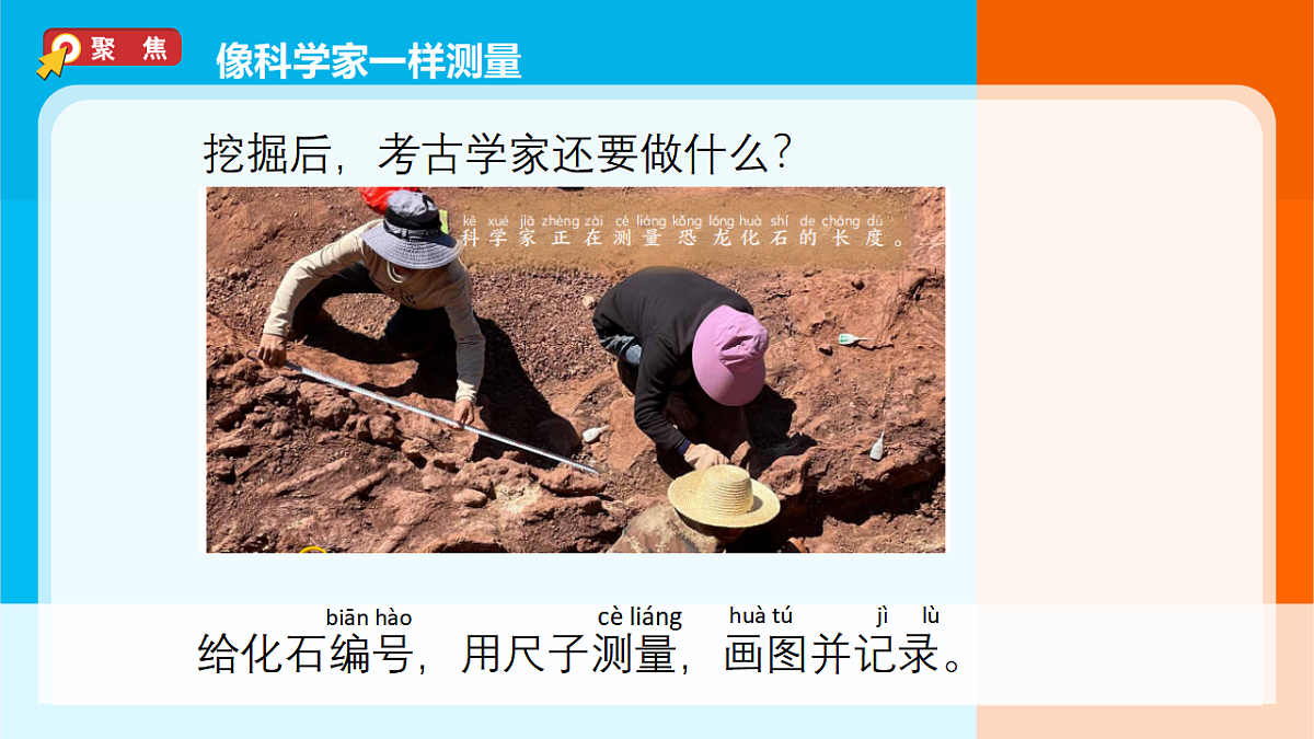 3.《测量恐龙”化石“》课件第4页