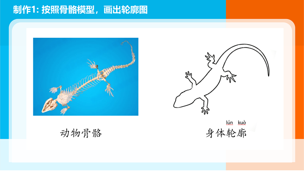 5.《复原恐龙》课件第3页