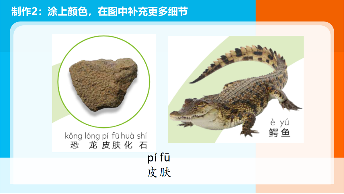 5.《复原恐龙》课件第7页