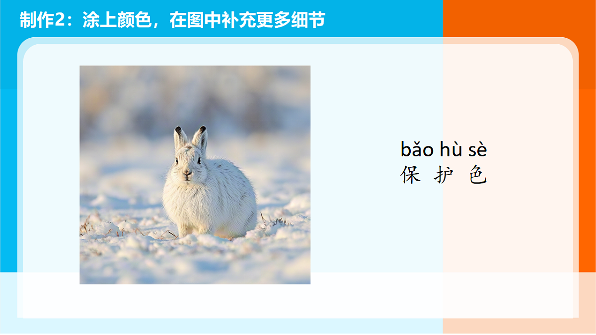 5.《复原恐龙》课件第8页