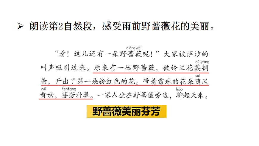 7 我不是最弱小的(课件)2025-2026学年部编版二年级语文下册第6页