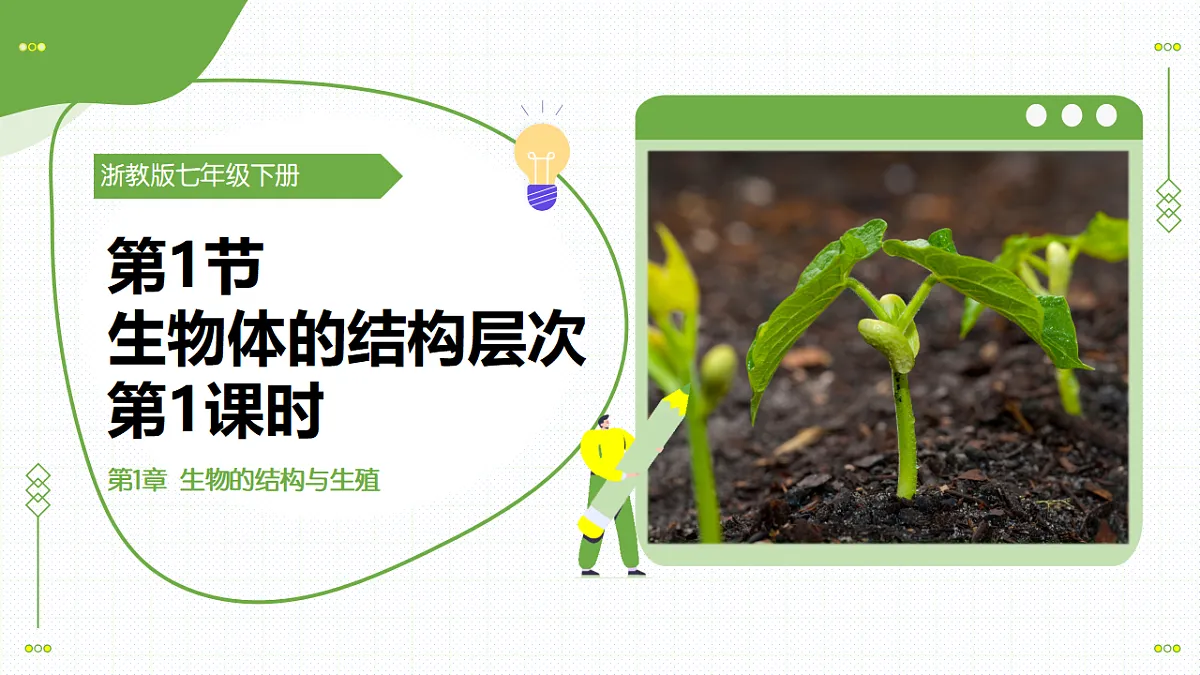 17908771第1页
