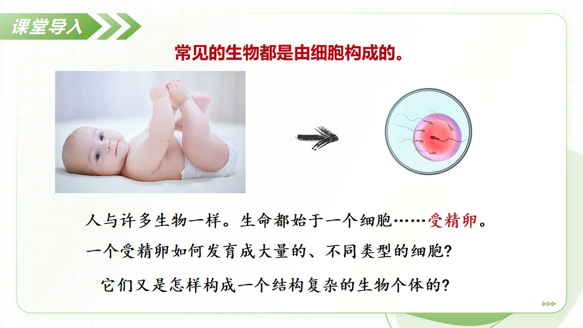 17908771第4页