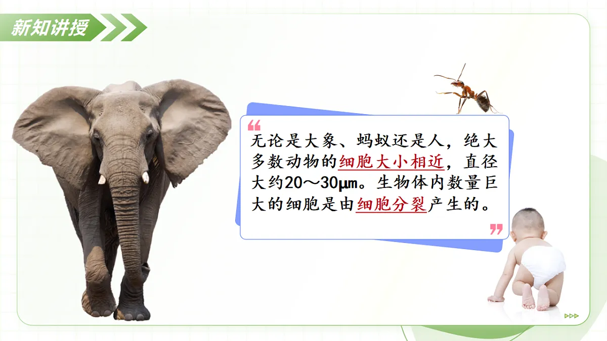 17908771第7页