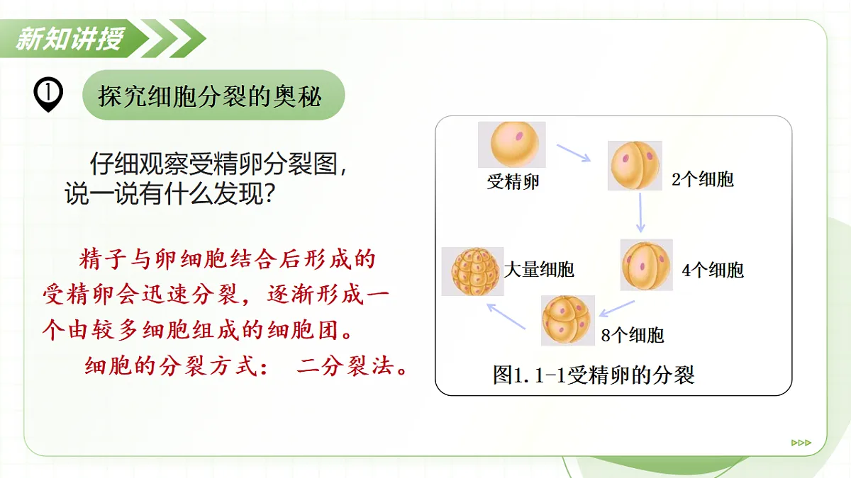 17908771第8页