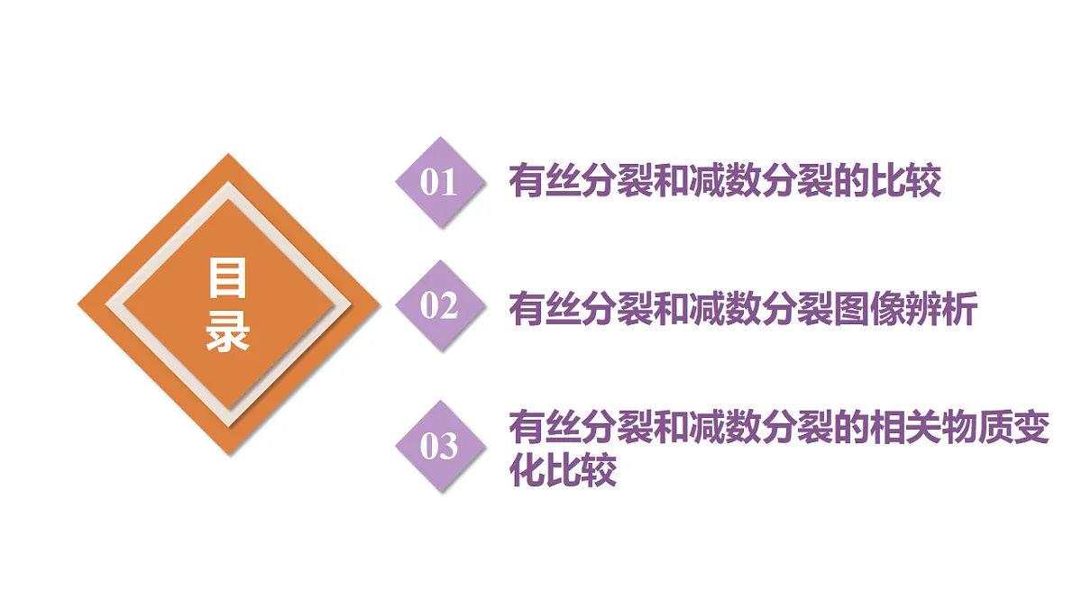 17908941第3页