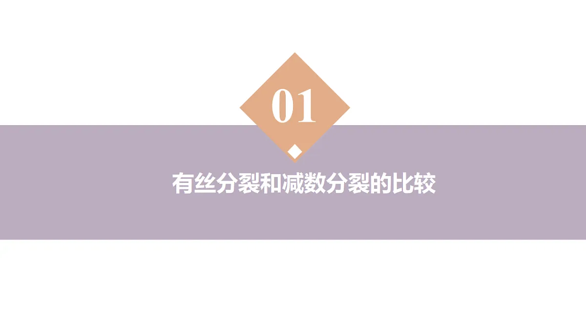 17908941第4页