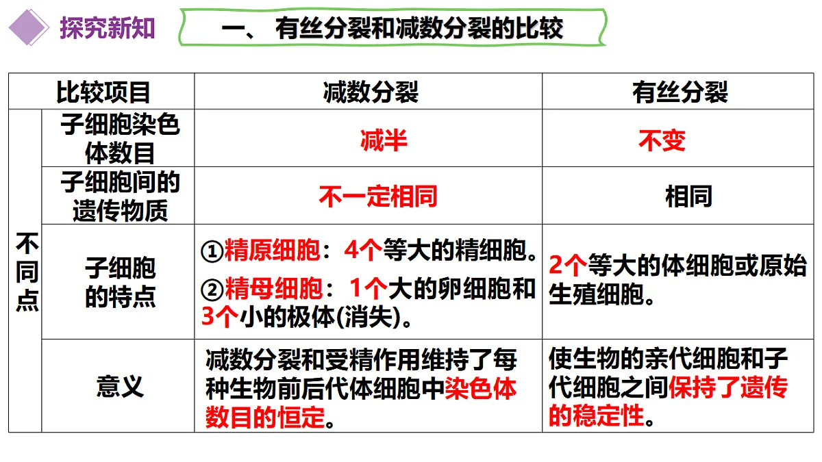 17908941第7页