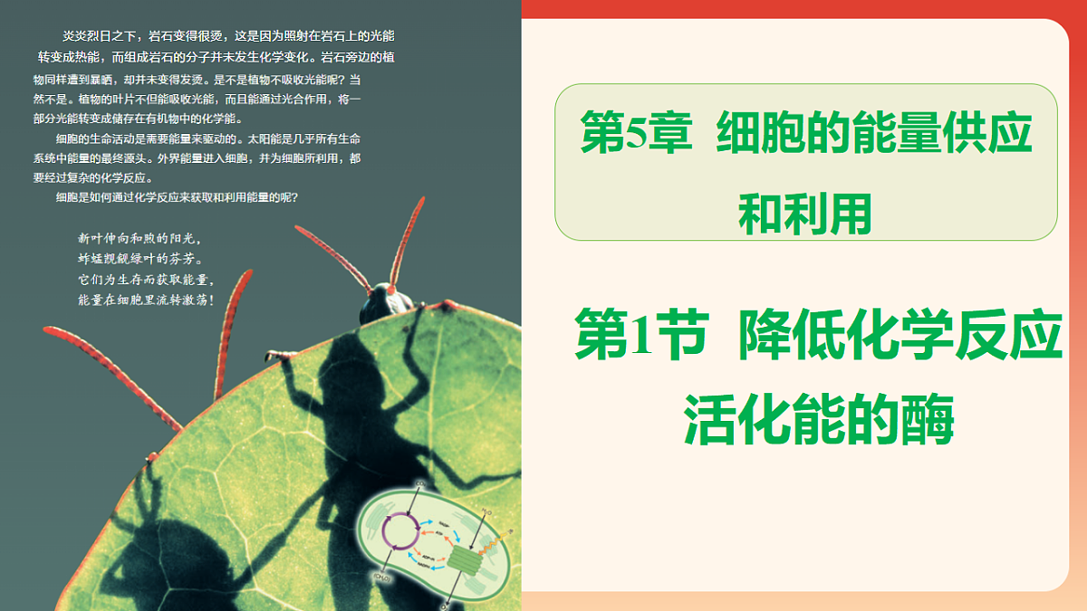17910909第1页