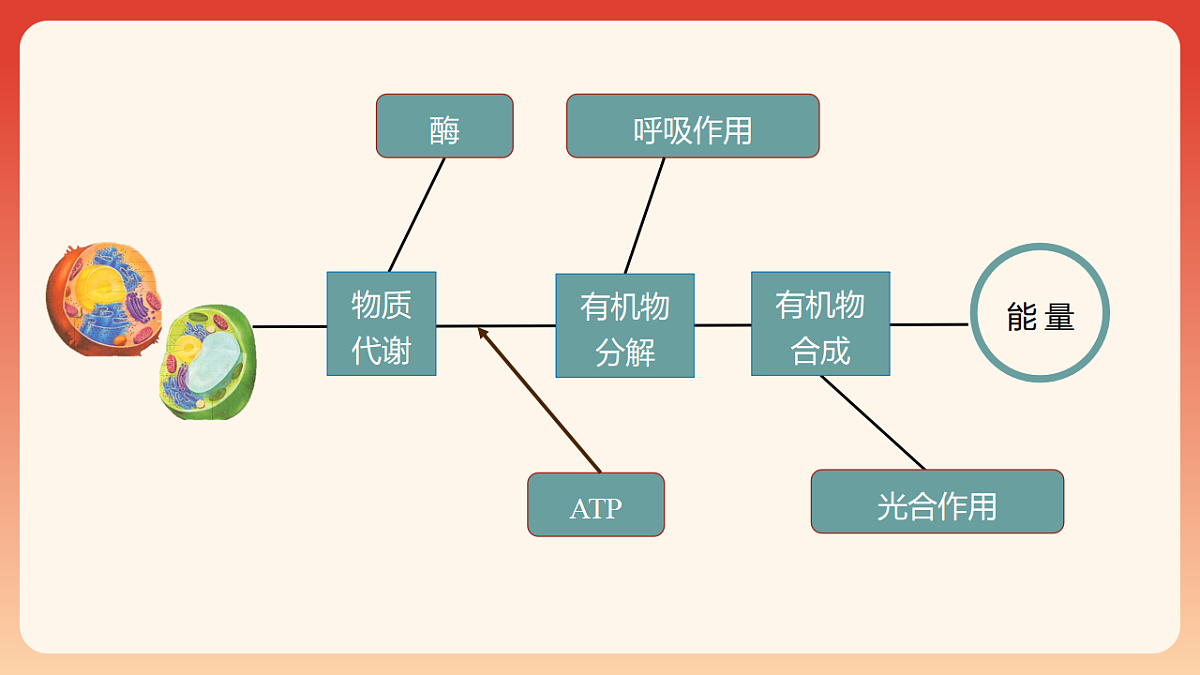 17910909第2页