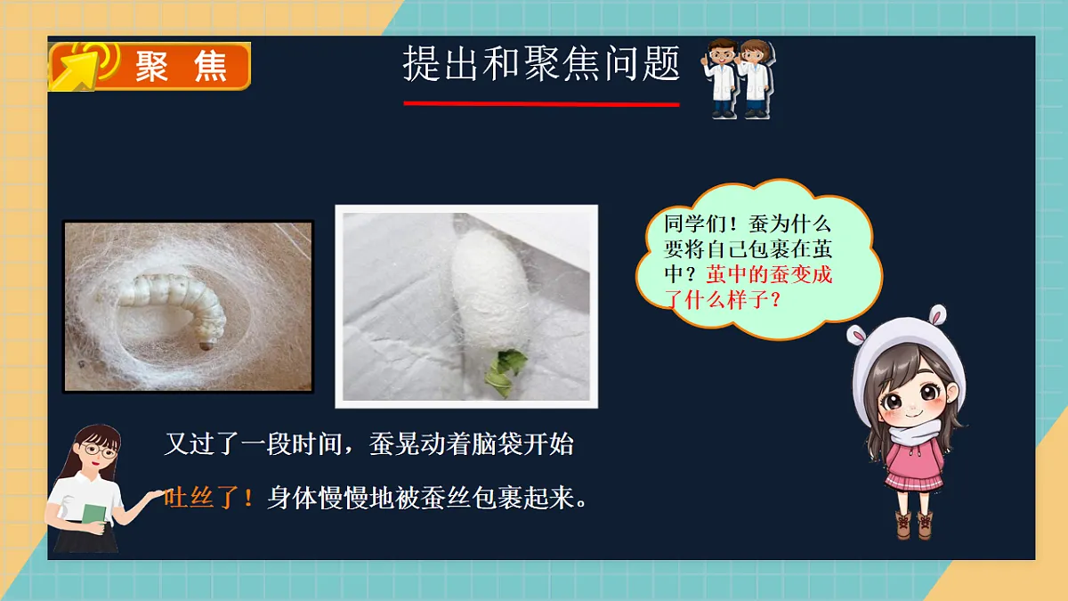 2.5 蚕变了新模样第2页