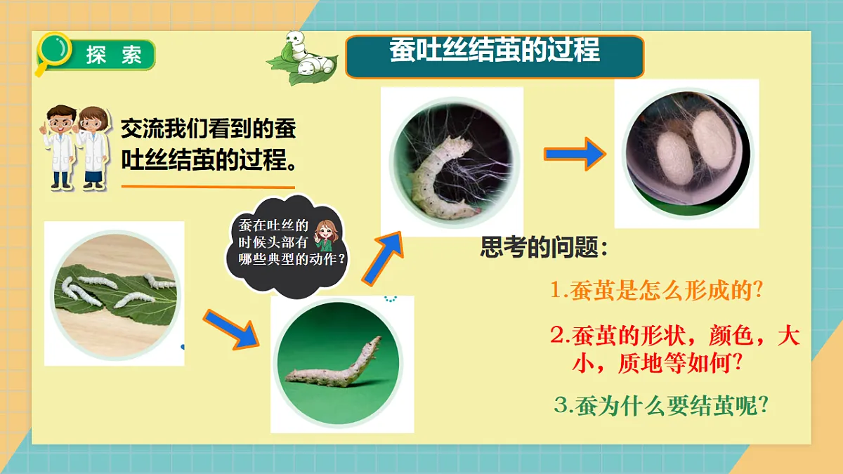 2.5 蚕变了新模样第3页