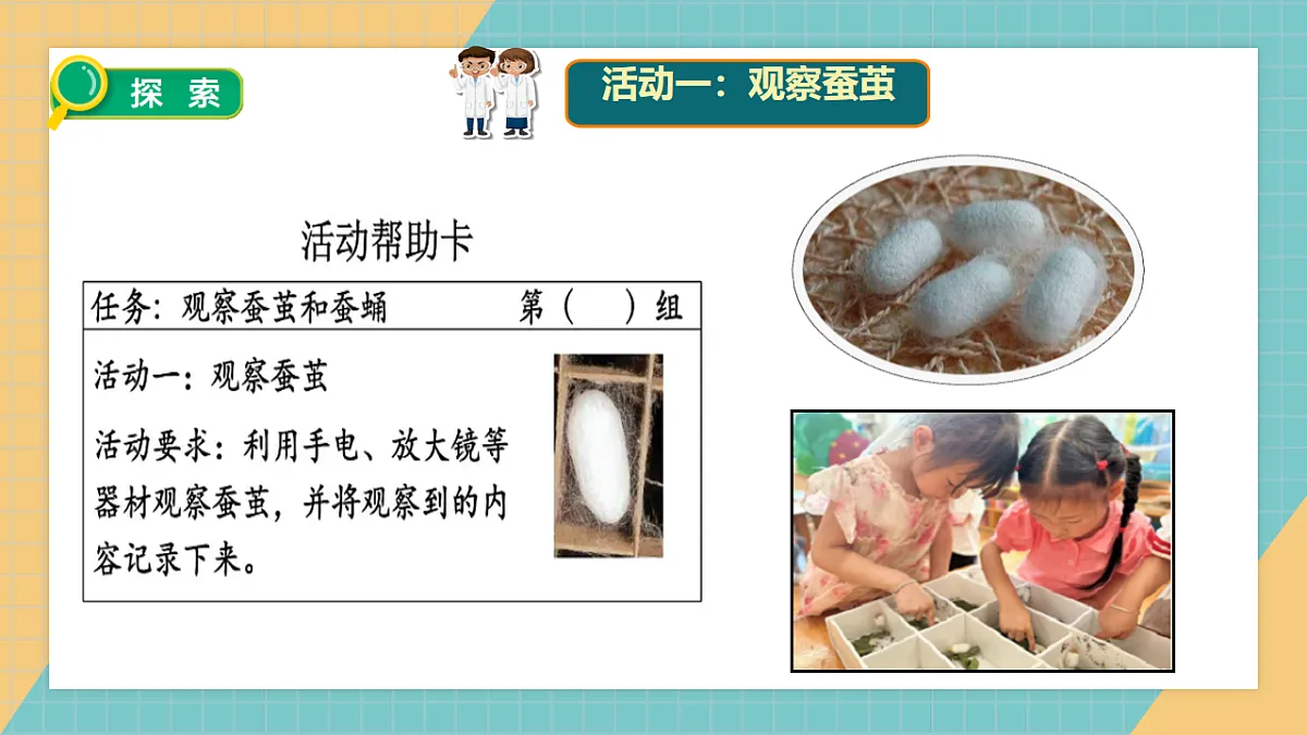 2.5 蚕变了新模样第5页