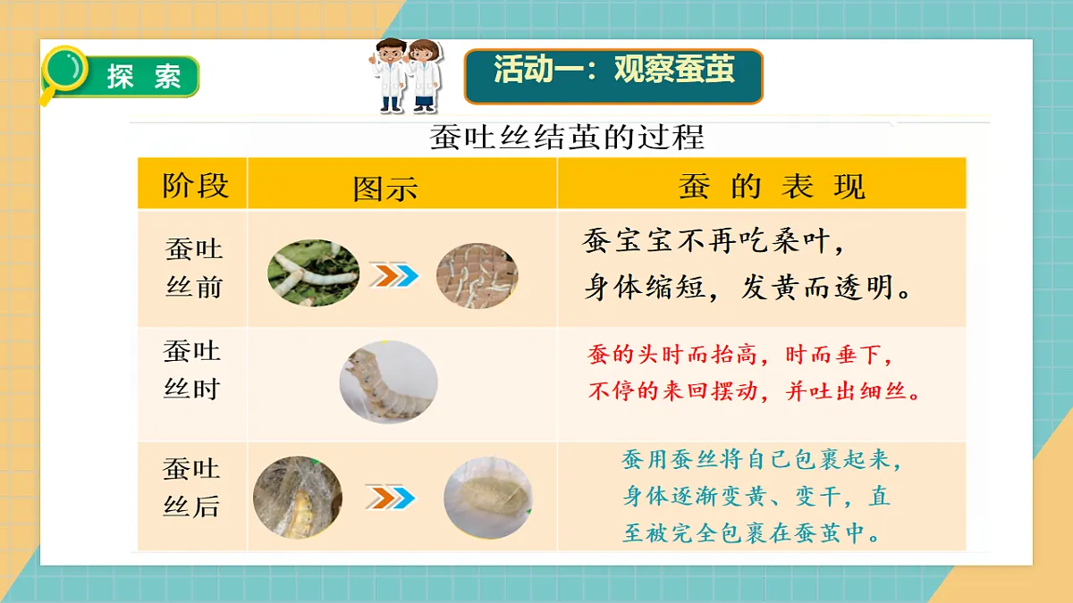 2.5 蚕变了新模样第6页