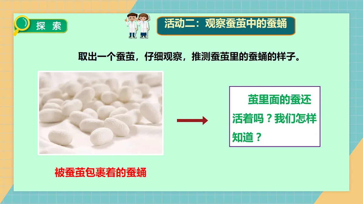 2.5 蚕变了新模样第7页