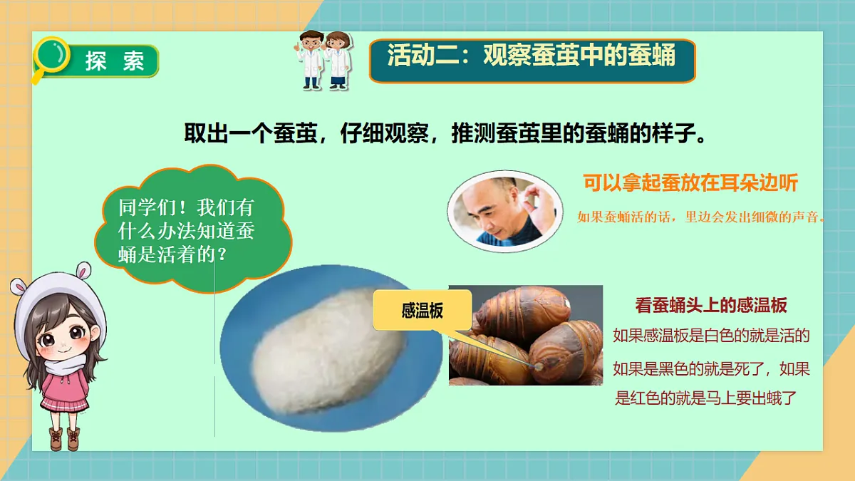 2.5 蚕变了新模样第8页