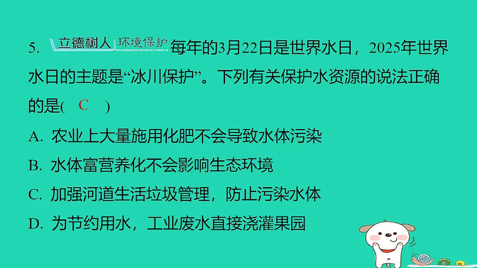 17911565第8页