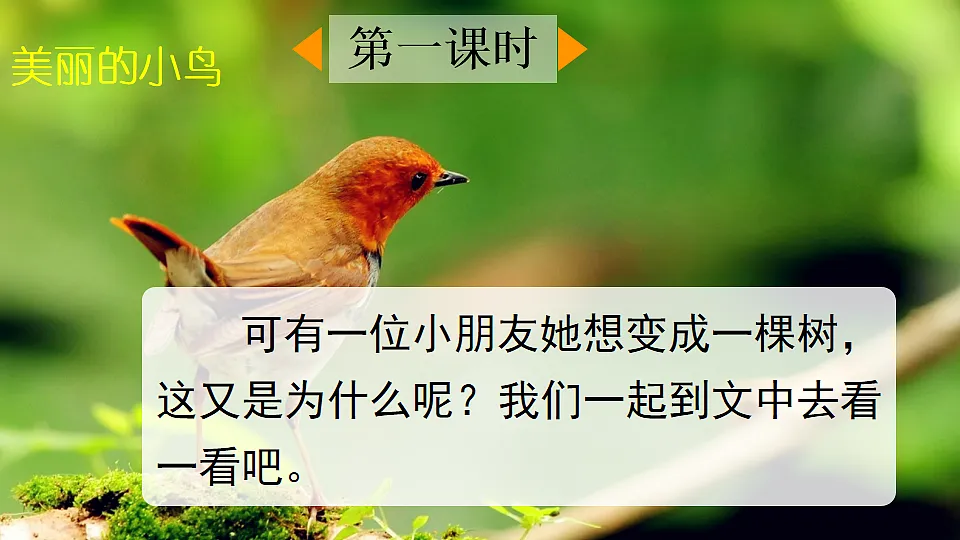 17 我变成了一棵树【优质版】第2页