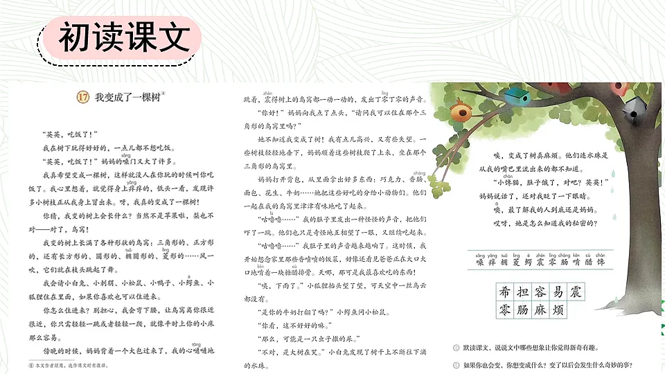 17 我变成了一棵树【优质版】第3页