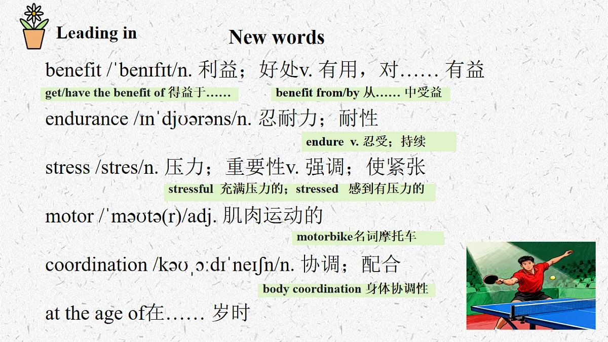 17912446第7页