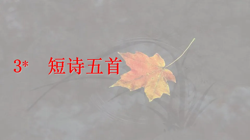 17912448第2页
