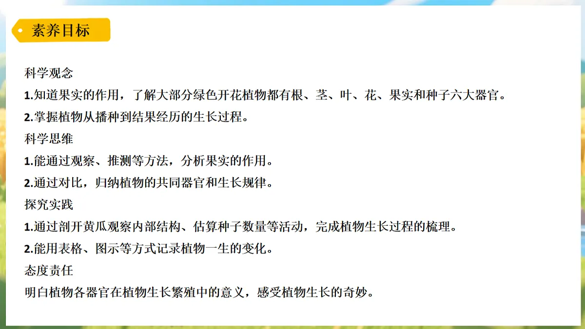 17912866第2页